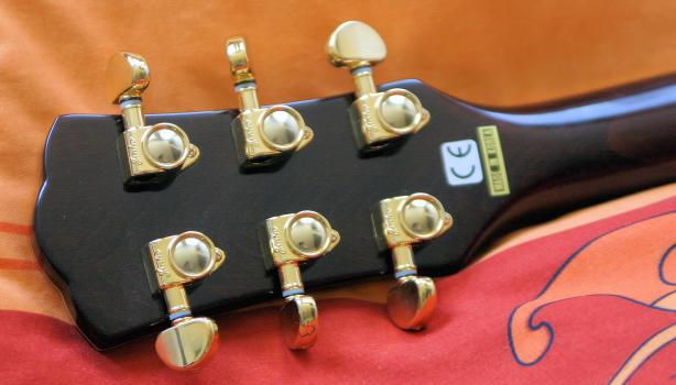 Sold Guitars / Johnson JP-EE-CGR