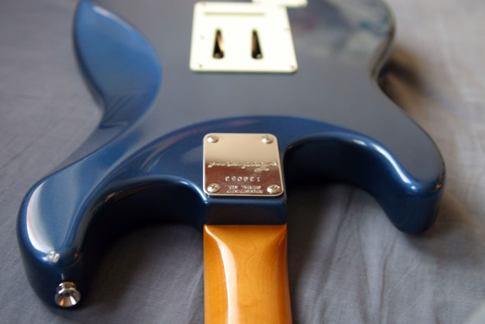 Guitars / Blade Texas Standard Pro (Redwood Edition)