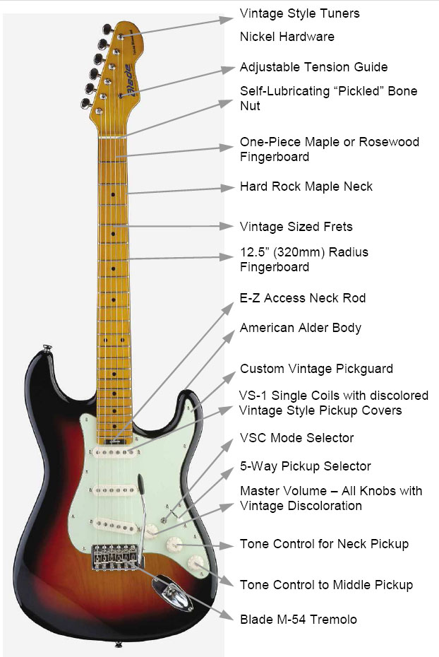 Guitars / Blade Texas Standard Pro (Redwood Edition)